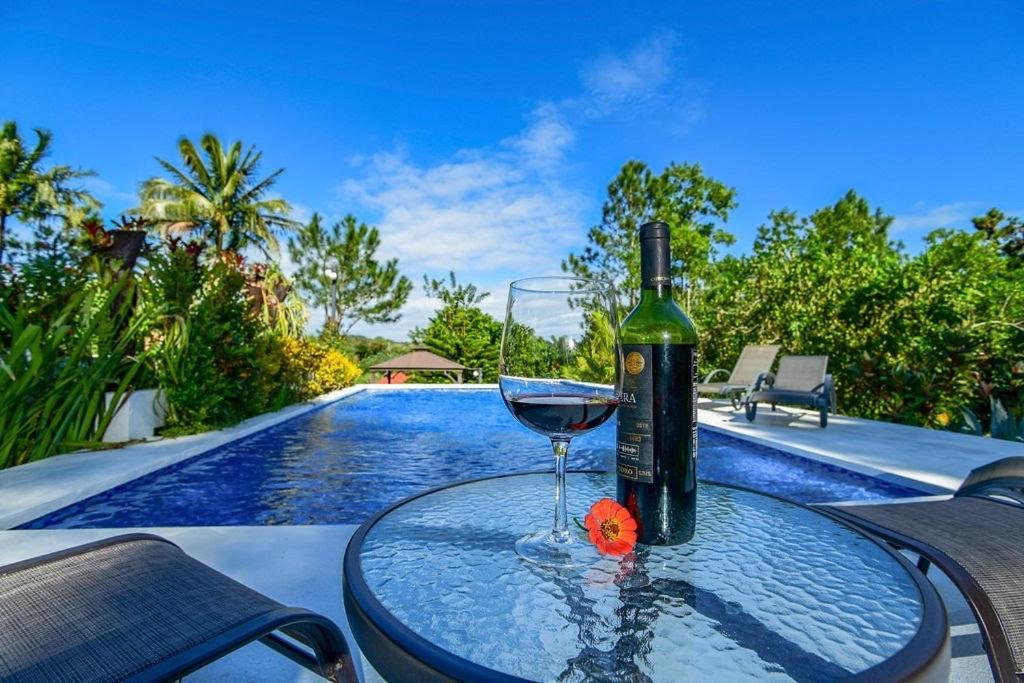 Haus Unter Palmen Villa Jarabacoa Ngoại thất bức ảnh